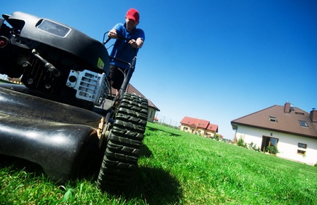 Lawn Care Business