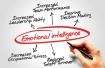 Emotional Intelligence